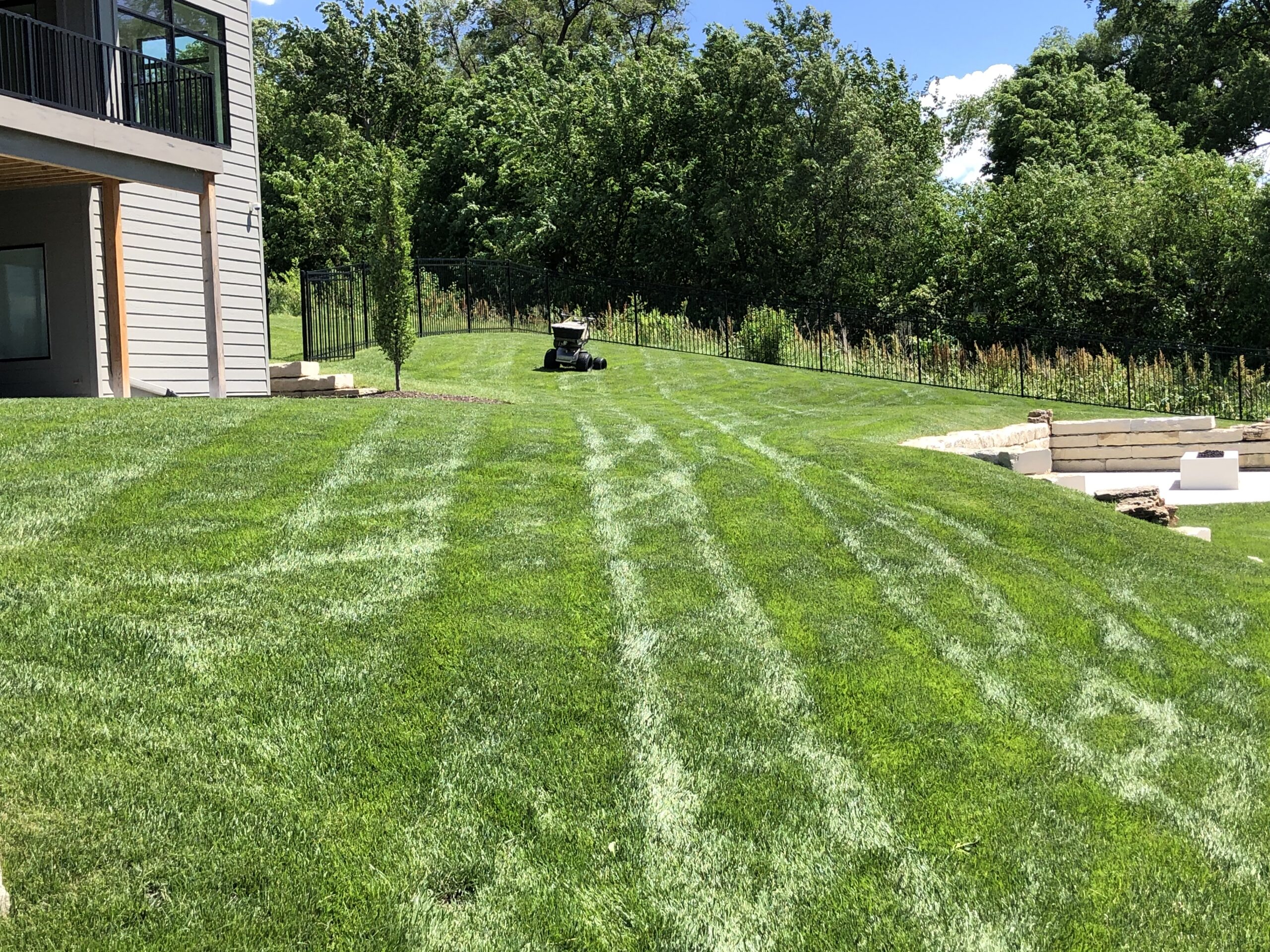 Fertilization and weed control Omaha